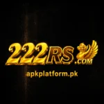 222RS Game