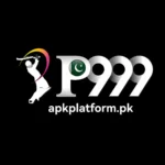 P999 Game