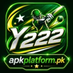 Y222 Game