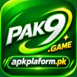 PAK9 Game