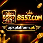 8557 Game